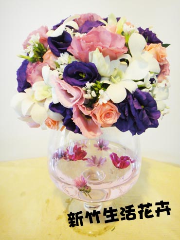 盆花 no.50