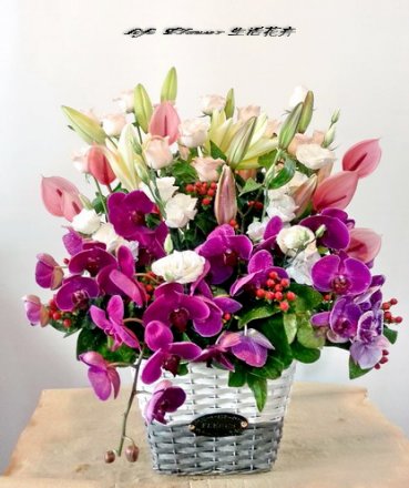 盆花 no.103