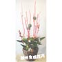 組合式 no.47